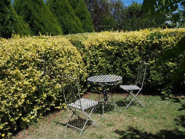 Tahara Cottage image 4